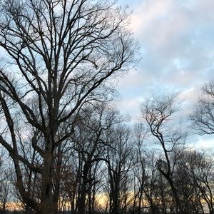 Meet your Posher, Sydney